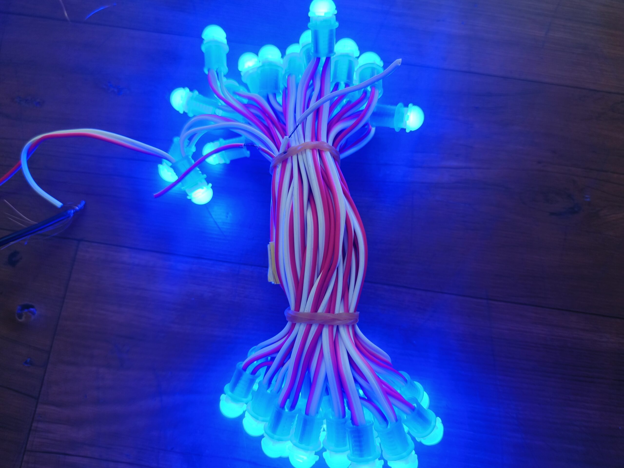 Blue 5 Inch 12V pixel LED string