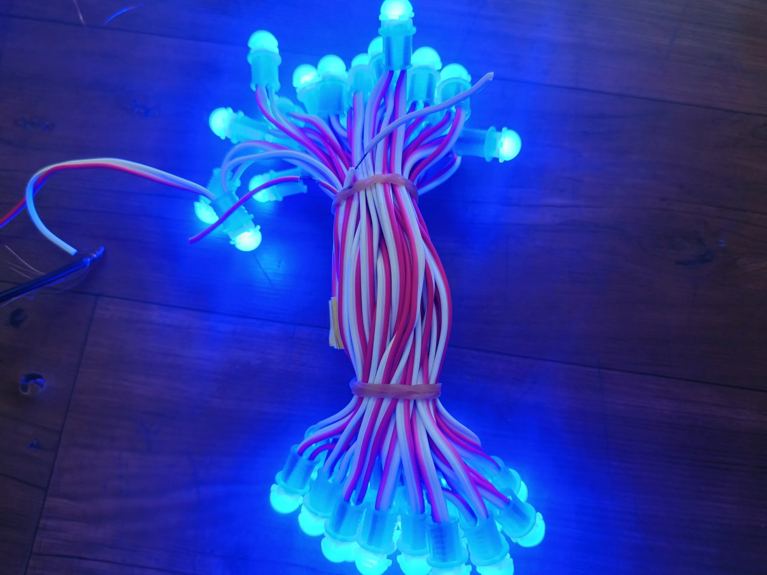 Blue 5 Inch 12V pixel LED string