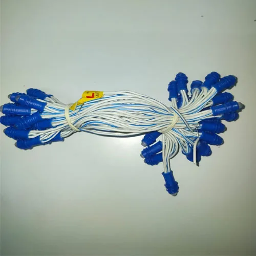 Blue 5 Inch 12V pixel LED string